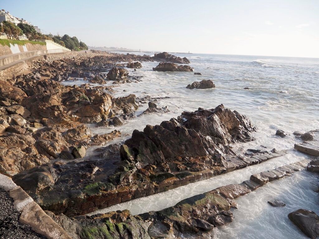 Matosinhos para peixe, não para lista