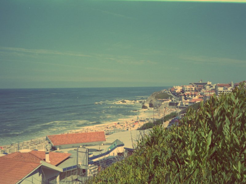 Matosinhos para peixe num dia de semana