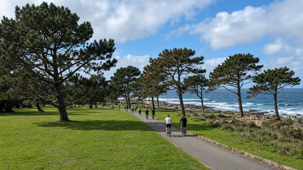 Parque da Cidade